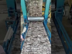 SGCC DX51D~DX53D Цветочный дизайн Передняя краска Цветовое покрытие Стальной лист PPGI PPGI